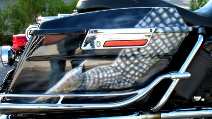 Drachen Harley 04