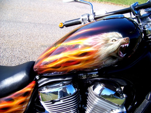 Intruder Fire 0203